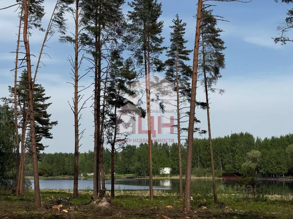 Участок в Тверская область, Конаковский муниципальный округ, д. ... - Фото 2