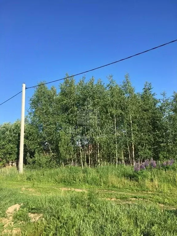Участок в Владимирская область, Собинский муниципальный округ, д. ... - Фото 1