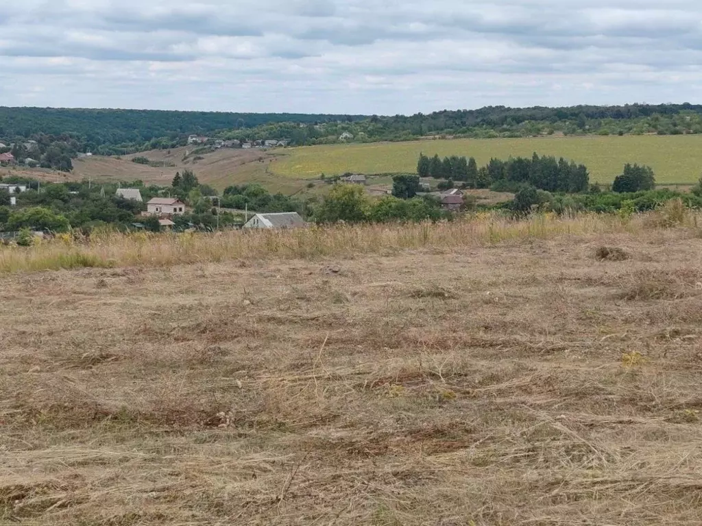 Участок в Курская область, Курский район, Клюквинский сельсовет, д. ... - Фото 2
