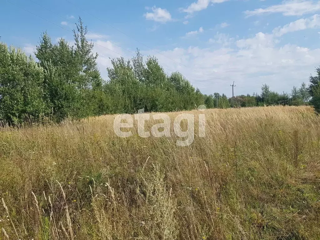 Участок в Владимирская область, Муромский район, Борисоглебское ... - Фото 0