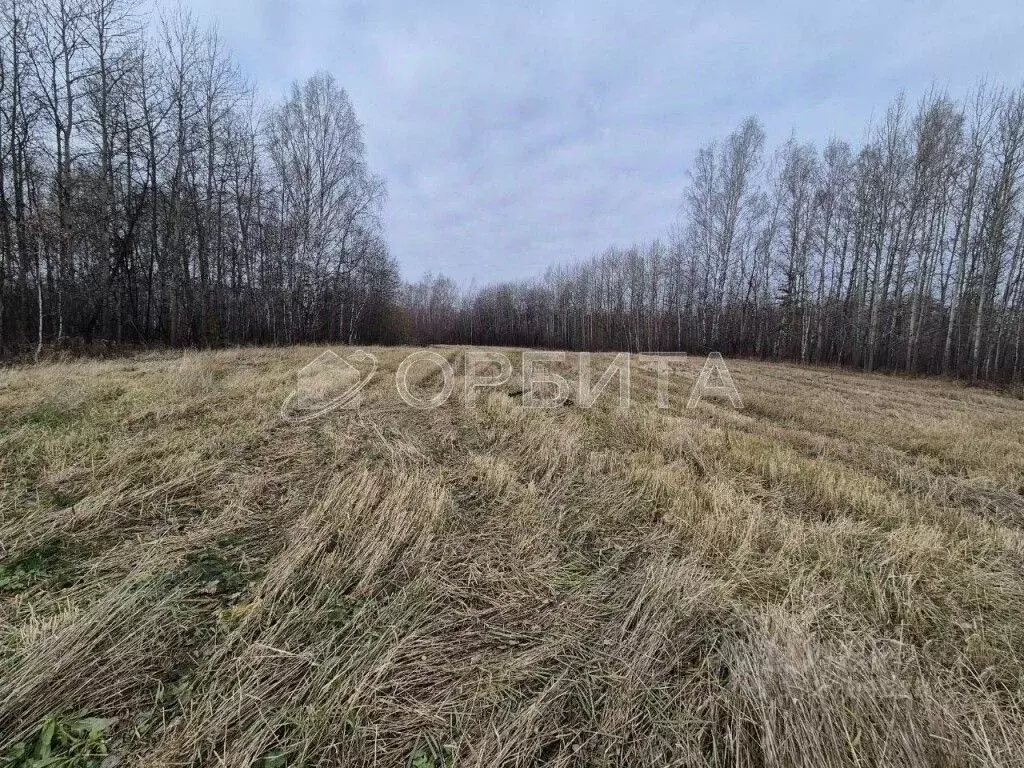 Участок в Тюменская область, Тюмень Труфаново мкр, ул. Застройщиков ... - Фото 1