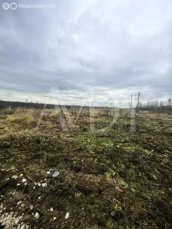 Участок в Путилово, 41 (10.9 м) - Фото 2