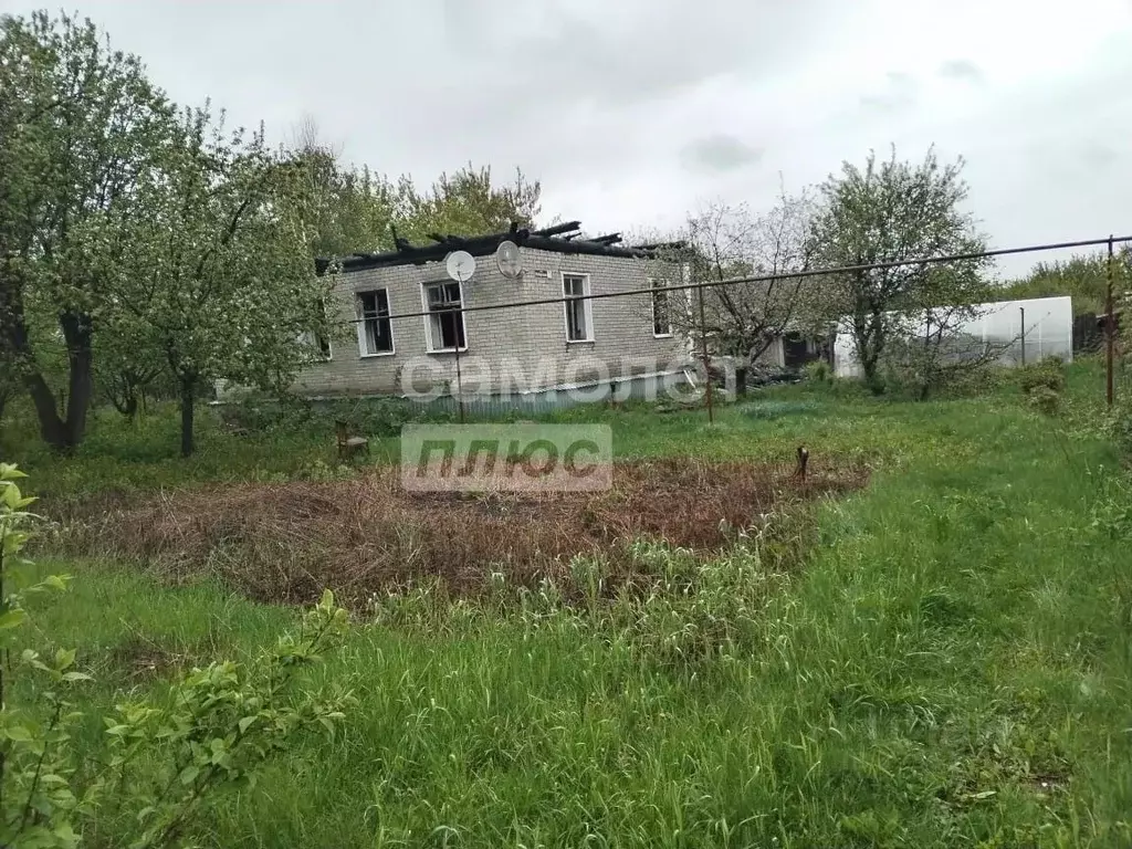 Участок в Пензенская область, Бессоновский район, с. Грабово ... - Фото 1