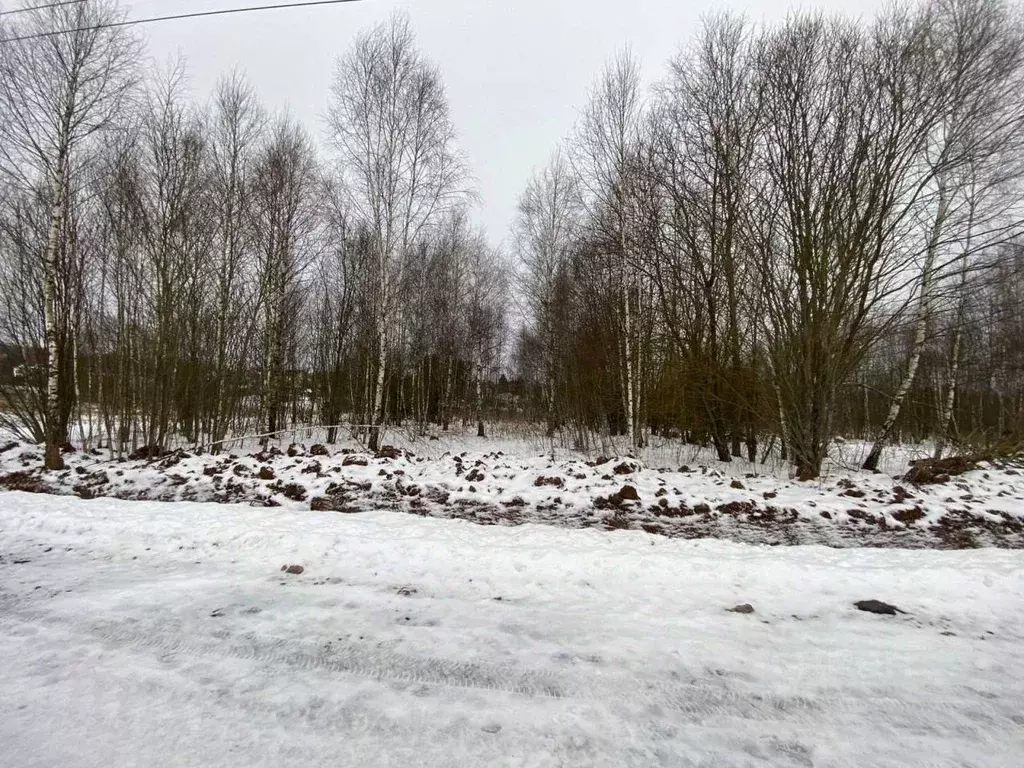 Участок в Московская область, Чехов городской округ, д. Большое ... - Фото 0