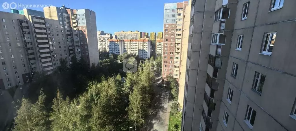 3-комнатная квартира: Санкт-Петербург, Шуваловский проспект, 61к2 ... - Фото 1