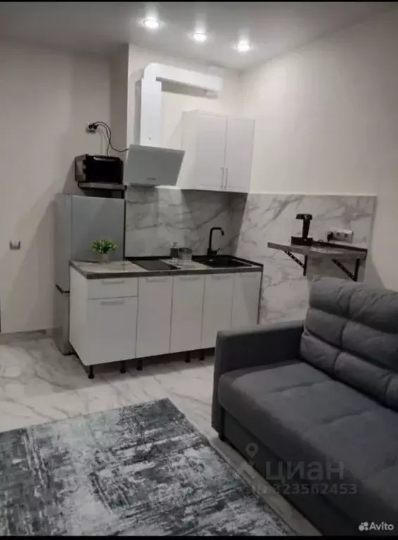 Студия Ленинградская область, Всеволожский район, пос. Бугры ул. ... - Фото 2