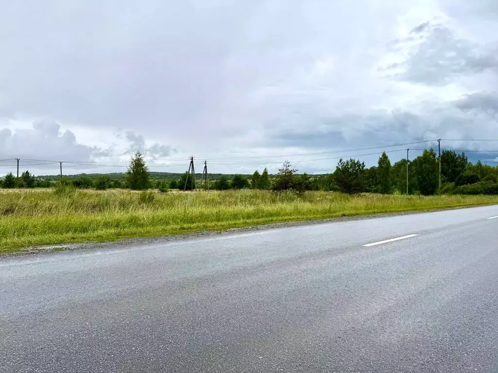 Участок в Татарстан, Пестречинский район, Богородское с/пос, д. Куюки  ... - Фото 2