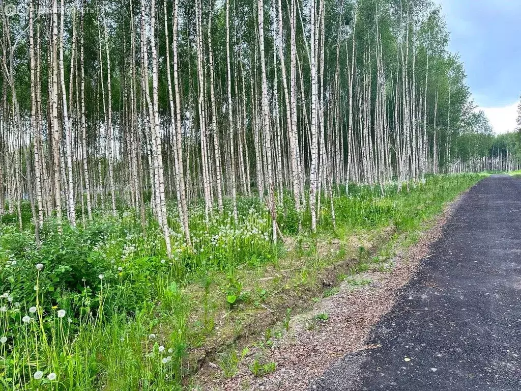 Участок в Дмитровский городской округ, деревня Афанасово-3 (6.17 м) - Фото 1