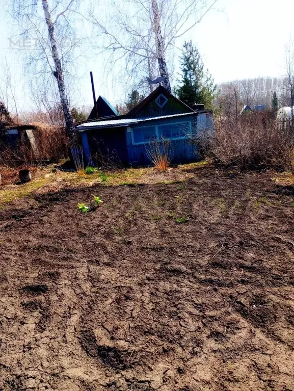 Участок в Новосибирская область, Мошково рп  (5.57 сот.) - Фото 1