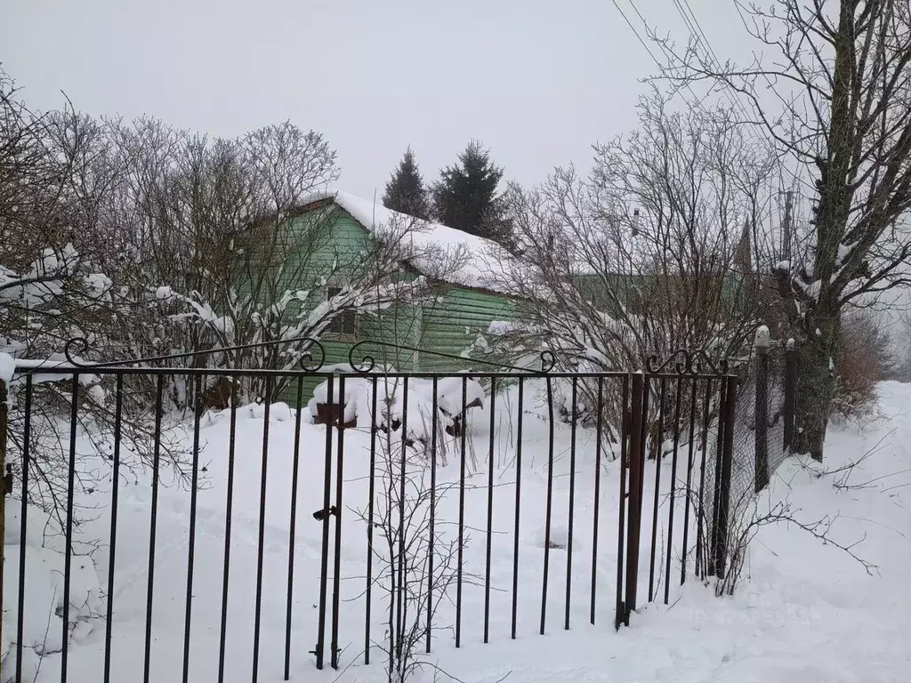 Участок в Ленинградская область, Выборгский район, Первомайское с/пос, ... - Фото 1