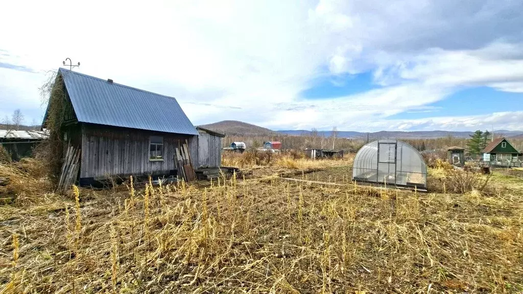 Дом в село Новый Мир, Лесная улица, 4 (24 м) - Фото 1