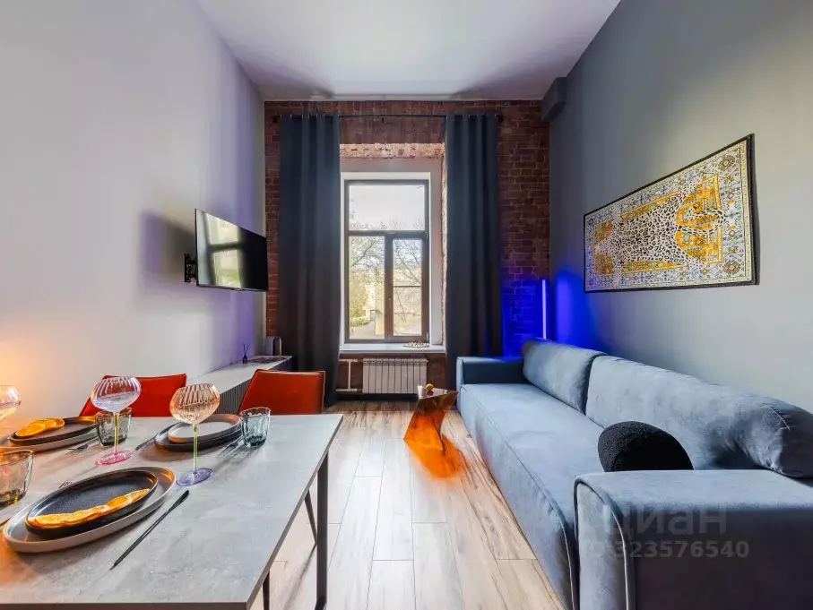 Студия Санкт-Петербург ул. Восстания, 55 (27.0 м) - Фото 2