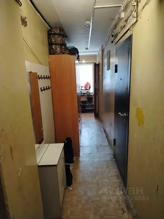 Комната Санкт-Петербург просп. Ударников, 49к1 (15.0 м) - Фото 2