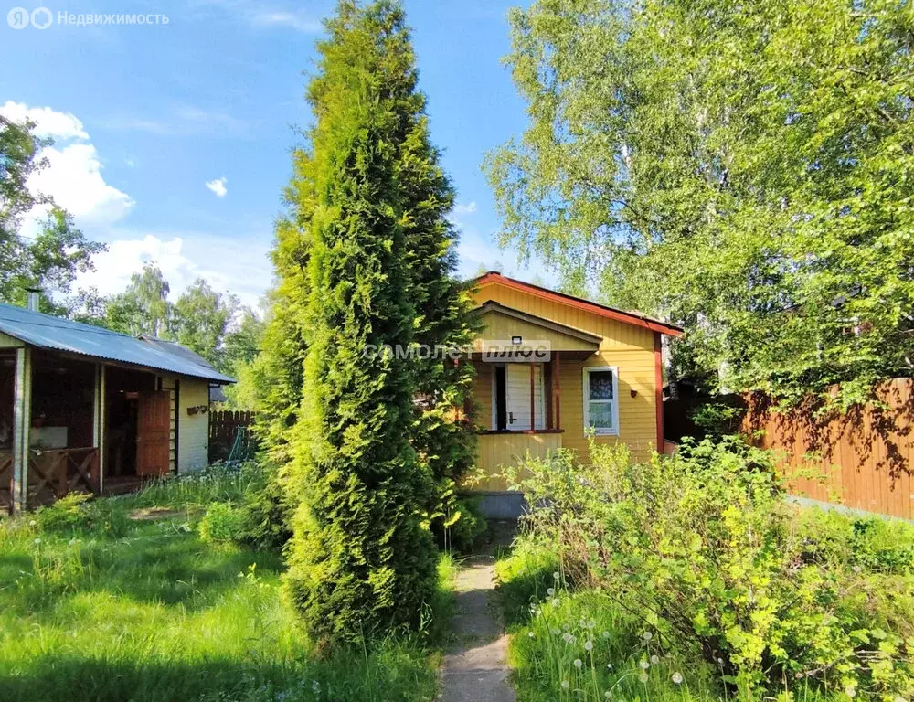 Дом в деревня Васютино, СНТ Дружба (30.1 м) - Фото 0