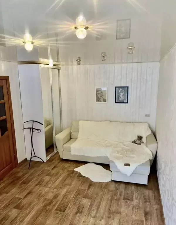 2-к кв. Челябинская область, Челябинск Российская ул., 222 (43.3 м) - Фото 2