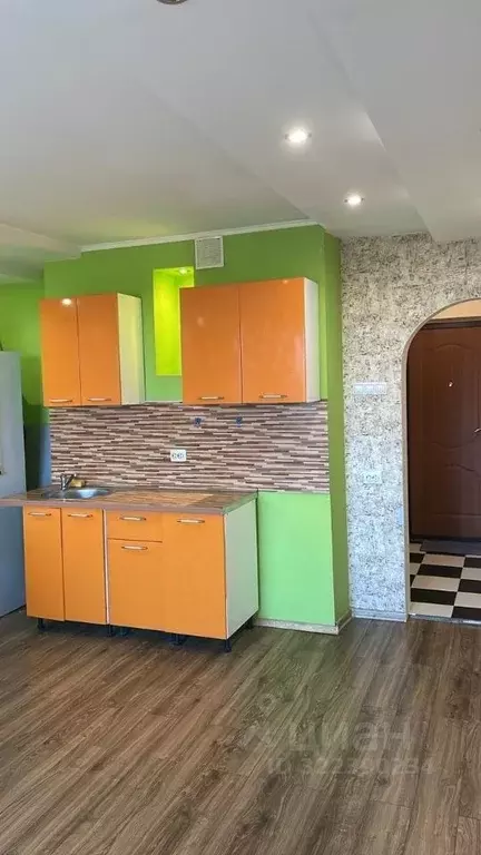 Студия Новосибирская область, Новосибирск ул. Татьяны Снежиной, 39 ... - Фото 2