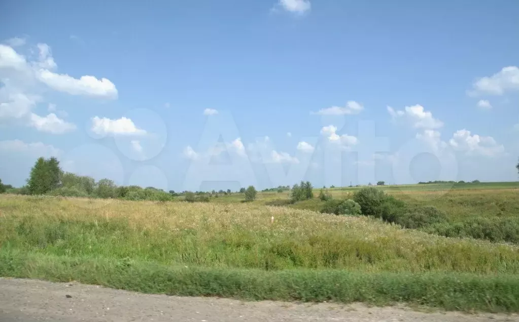 Участок 55,4 га (СНТ, ДНП) - Фото 0