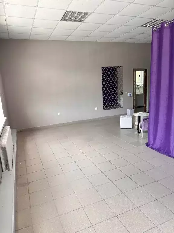 Офис в Белгородская область, Белгород ул. Щорса, 41В (20 м) - Фото 1