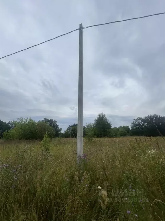 Участок в Нижегородская область, Володарск Полевая ул., 1 (8.0 сот.) - Фото 1