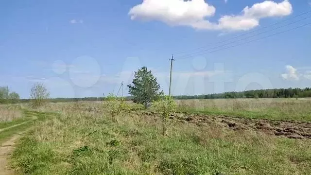 Участок 40 сот. (личное подсобное хозяйство (лпх)) - Фото 1