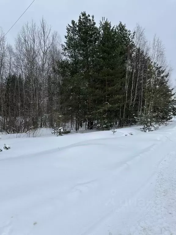 Участок в Московская область, Солнечногорск городской округ, Учитель ... - Фото 0