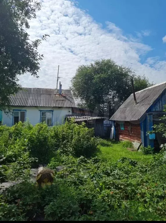 Дом 38,7 м на участке 24 сот. - Фото 0