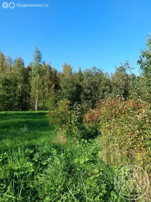 Участок в Заклинское сельское поселение, деревня Турово (15 м) - Фото 0