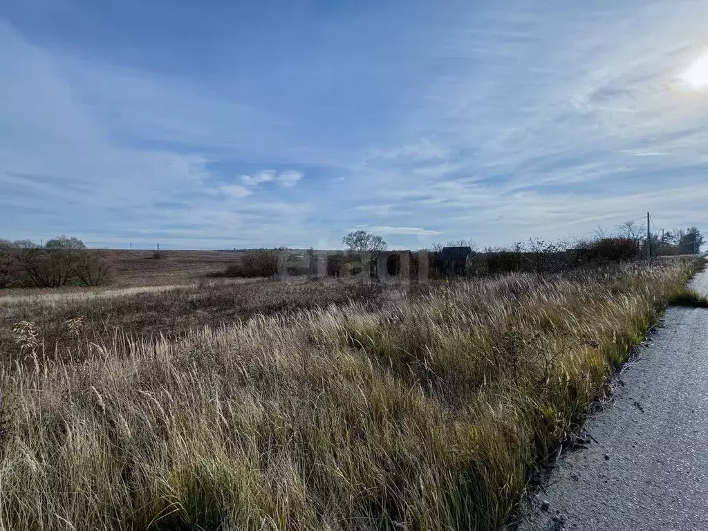 Участок в Мордовия, Лямбирский район, д. Кадышево Луговая ул. (16.48 ... - Фото 1