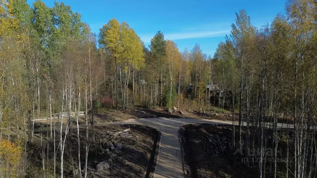 Участок в Ленинградская область, Выборгский район, Приморское ... - Фото 2