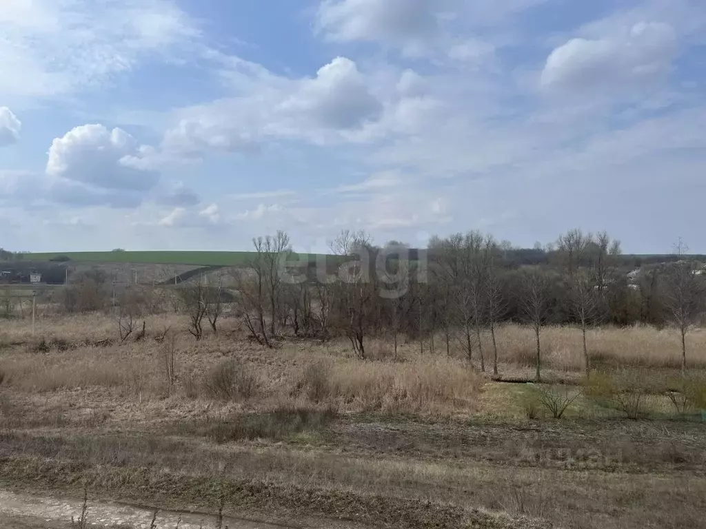 Участок в Белгородская область, Белгородский муниципальный округ, с. ... - Фото 1