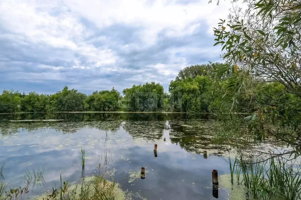Участок в Новосибирский район, Каменский сельсовет, посёлок Восход ... - Фото 1