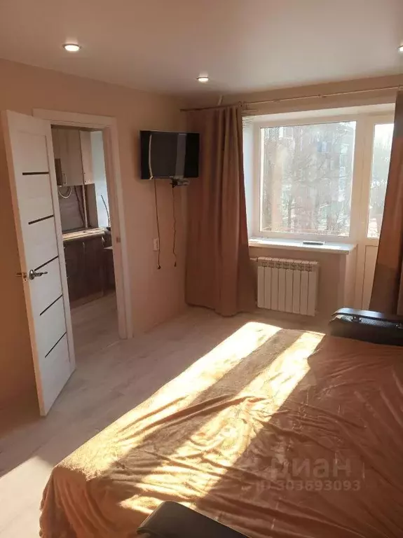 1-к кв. Псковская область, Великие Луки ул. Пушкина, 3 (30.0 м) - Фото 1