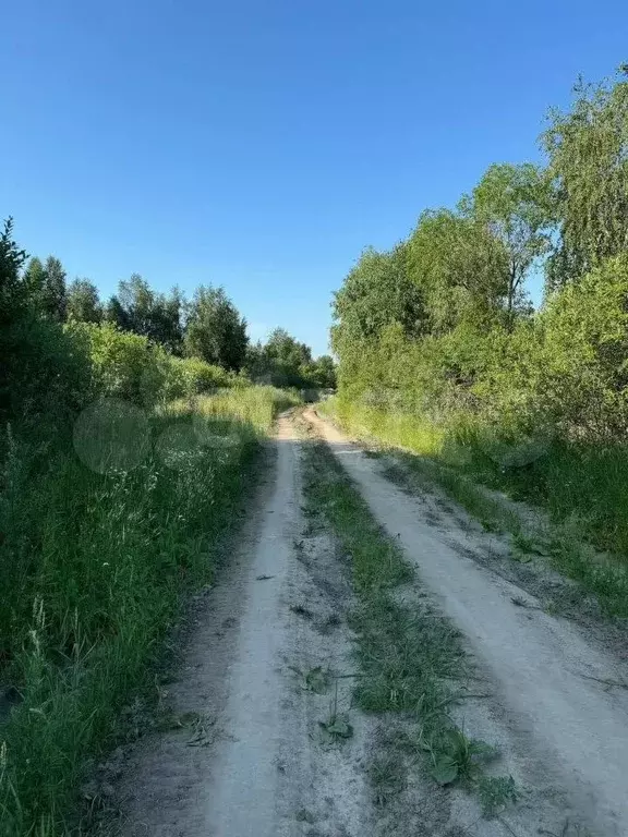 Участок 10 сот. (личное подсобное хозяйство (лпх)) - Фото 1