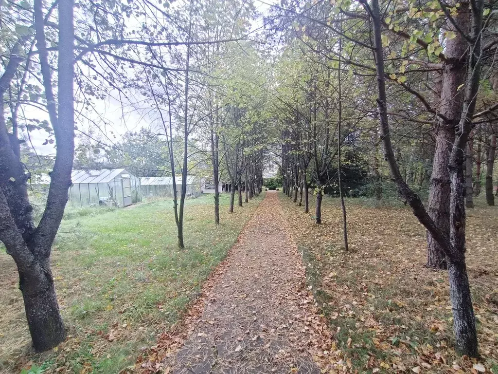 Участок в Московская область, Одинцовский городской округ, с. Луцино, ... - Фото 1