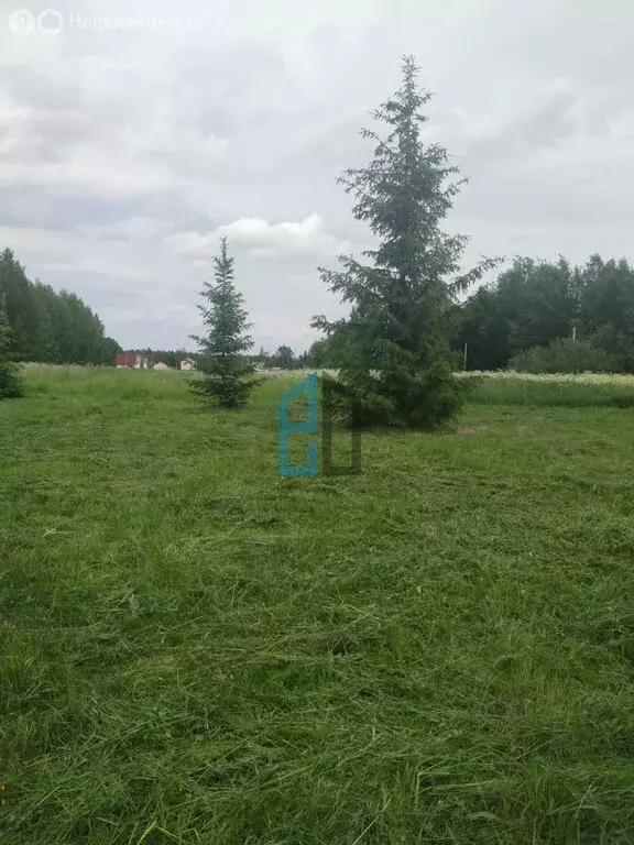 Участок в Московская область, городской округ Клин, деревня Грешнево ... - Фото 1