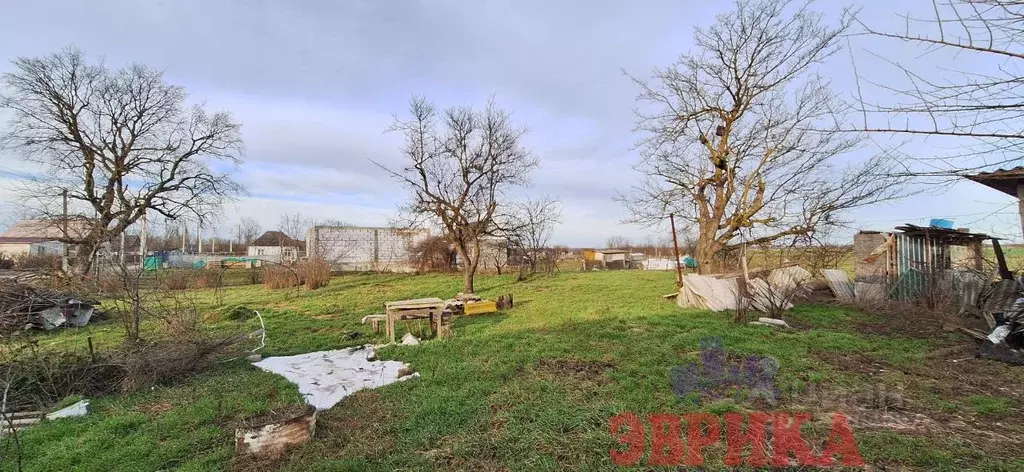 Участок в Краснодарский край, Крымский район, с. Киевское ул. 75 лет ... - Фото 1