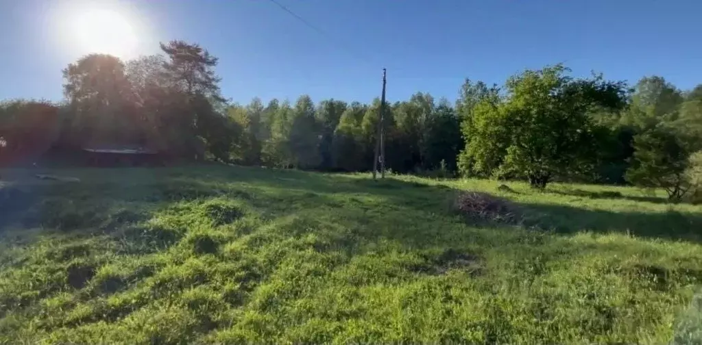 Участок в Псковская область, Стругокрасненский район, д. Творожково  ... - Фото 1