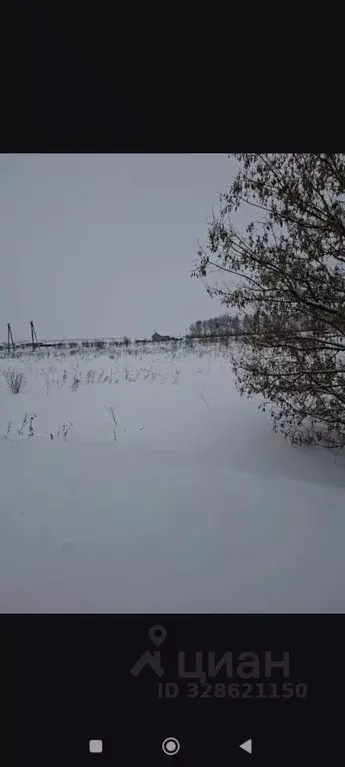 Участок в Башкортостан, Краснокамский район, с. Музяк ул. Мирная (10.0 ... - Фото 1