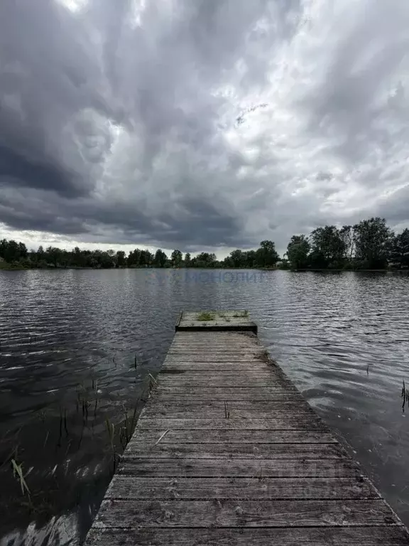 Дом в Нижегородская область, Сосновский муниципальный округ, д. ... - Фото 2