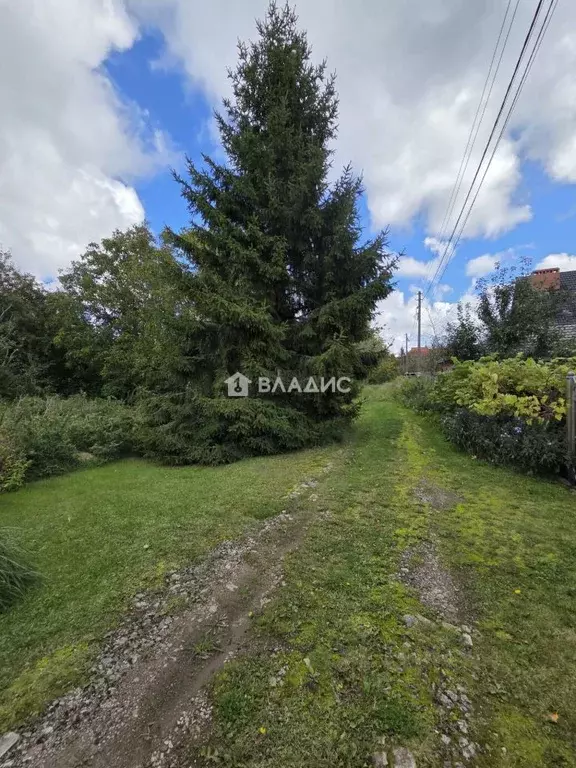 Участок в Калининградская область, пос. Приморье пер. Сиреневый, 9 ... - Фото 1