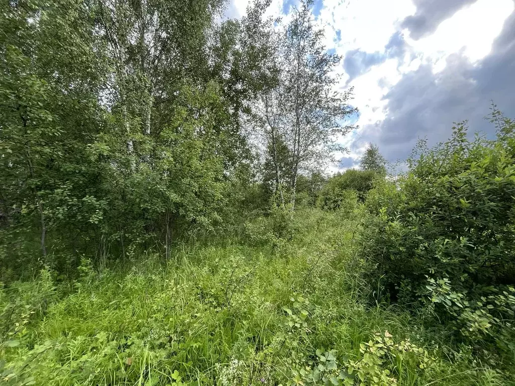 Участок в Московская область, Ступино городской округ, д. Сумароково  ... - Фото 1