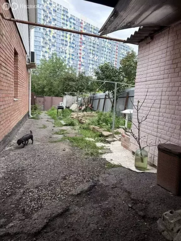 2-комнатная квартира: Ростов-на-Дону, Филимоновская улица, 51 (47 м) - Фото 0