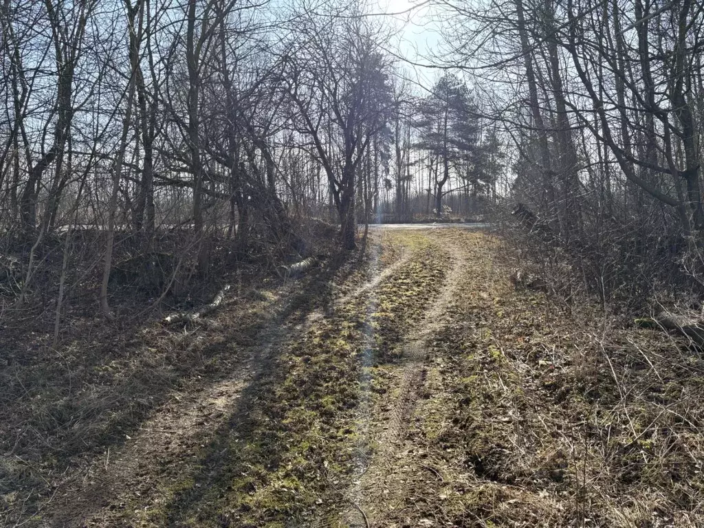 Участок в Псковская область, Псковский муниципальный округ, д. ... - Фото 2