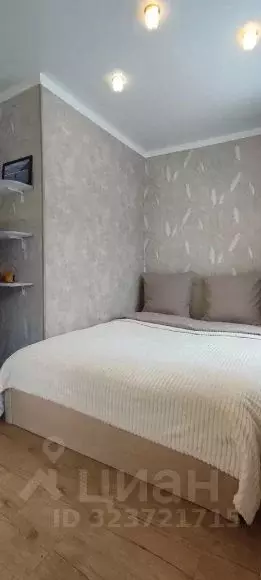 1-к кв. Камчатский край, Елизово ул. Рябикова, 51А (31.0 м) - Фото 1