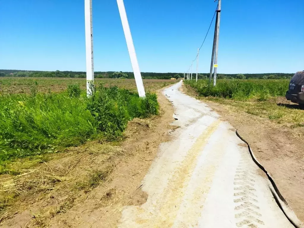 Участок в Тульская область, Ясногорский район, Иваньковское с/пос, д. ... - Фото 2
