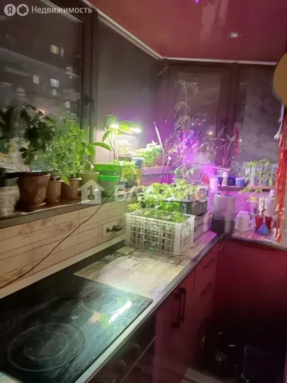 1-комнатная квартира: посёлок городского типа Лопатино, Солнечный ... - Фото 2