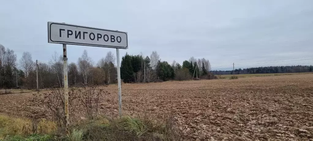 Участок в Московская область, Наро-Фоминский городской округ, д. ... - Фото 2