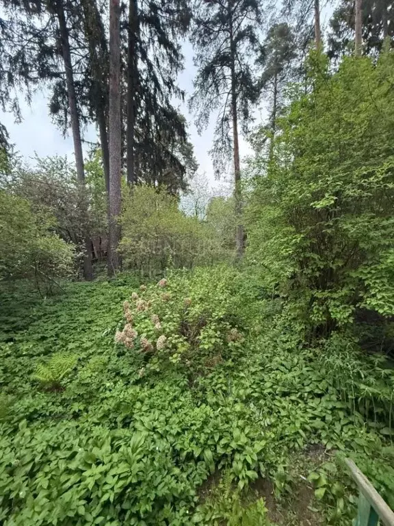 Участок в Московская область, Наро-Фоминский городской округ, д. ... - Фото 1