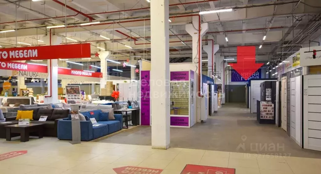 Торговая площадь в Новгородская область, Великий Новгород ул. Германа, ... - Фото 2