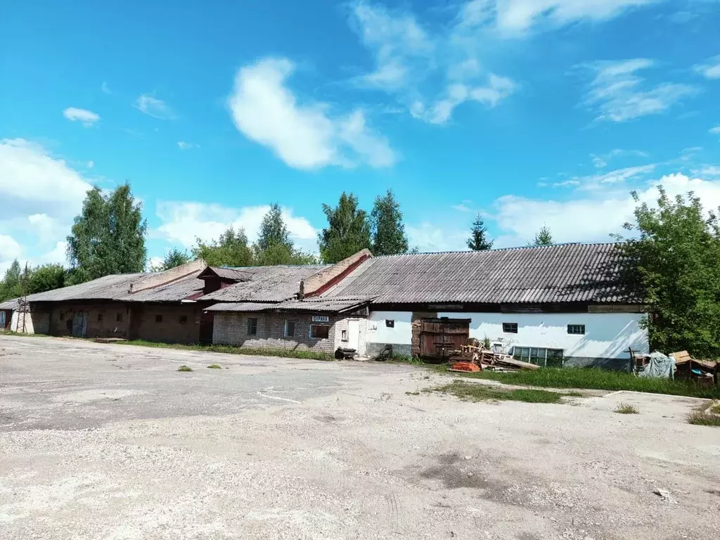 Помещение свободного назначения в Тверская область, Кувшиново ... - Фото 1